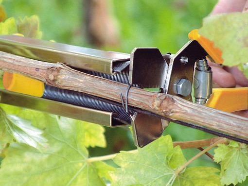 Bindezange Regur DOZ 35 zur Wuchsregulierung