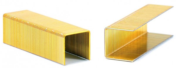 Haubold BK2550 Heftklammern Klammern Staples Nietjes