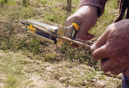 Bindezange Regur DOZ 35 zur Wuchsregulierung